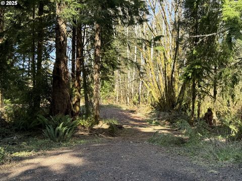 Fiddle Back Lot 8 North Bend OR 97459