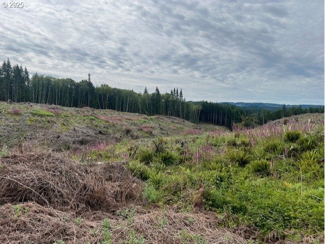 Northrup Creek RD