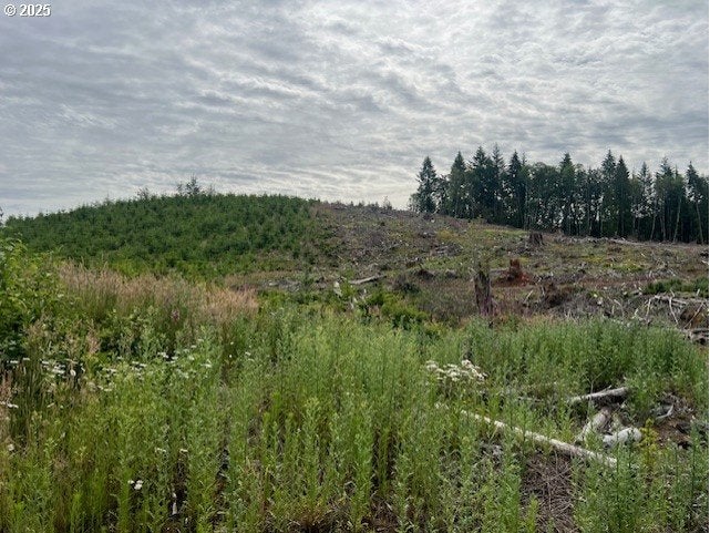 Northrup Creek RD