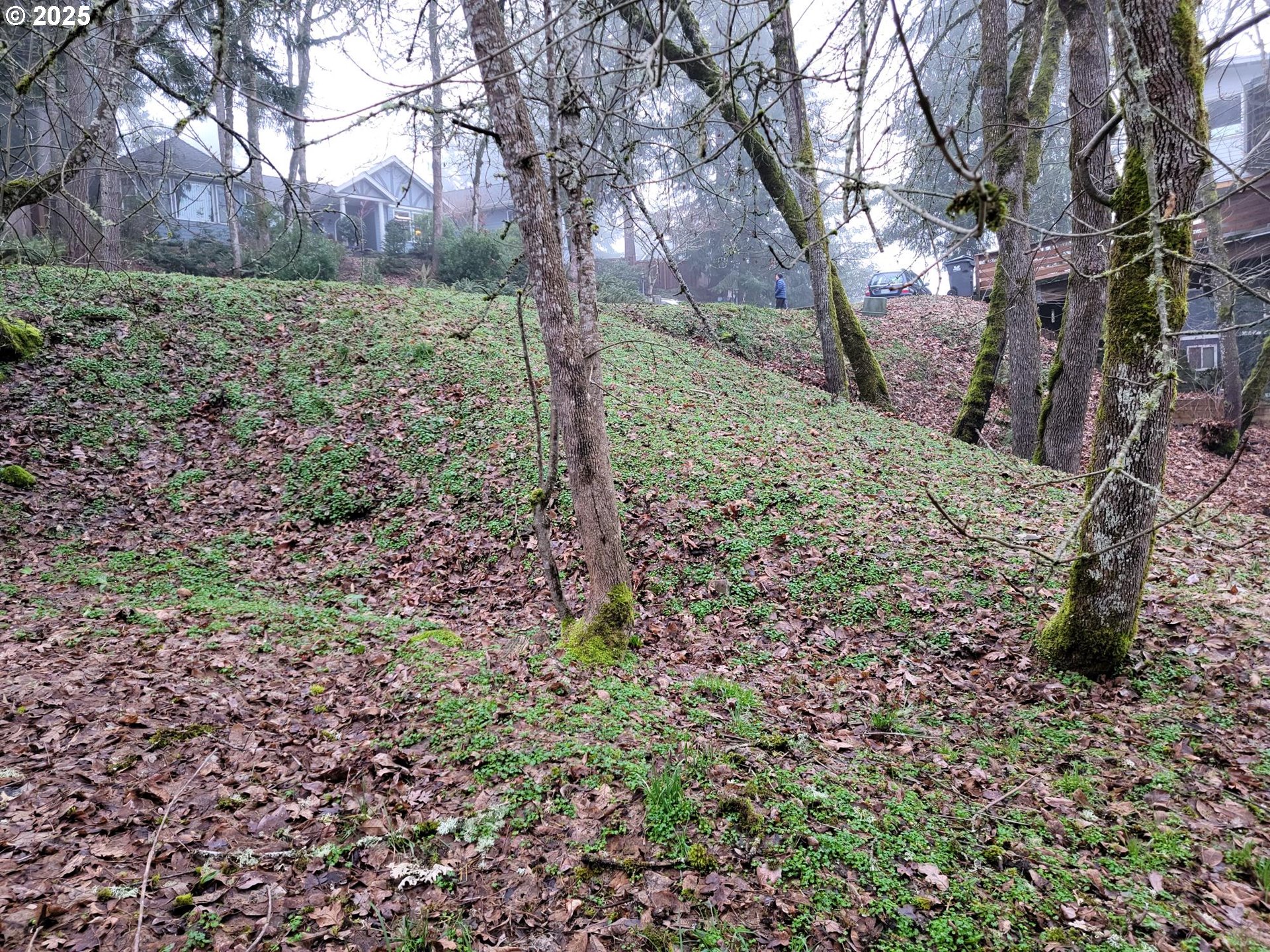 Eugene, Oregon 97405, United States, ,Land,Active,15415