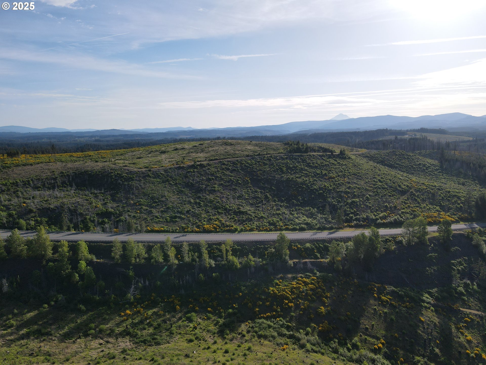 Michaels RD
