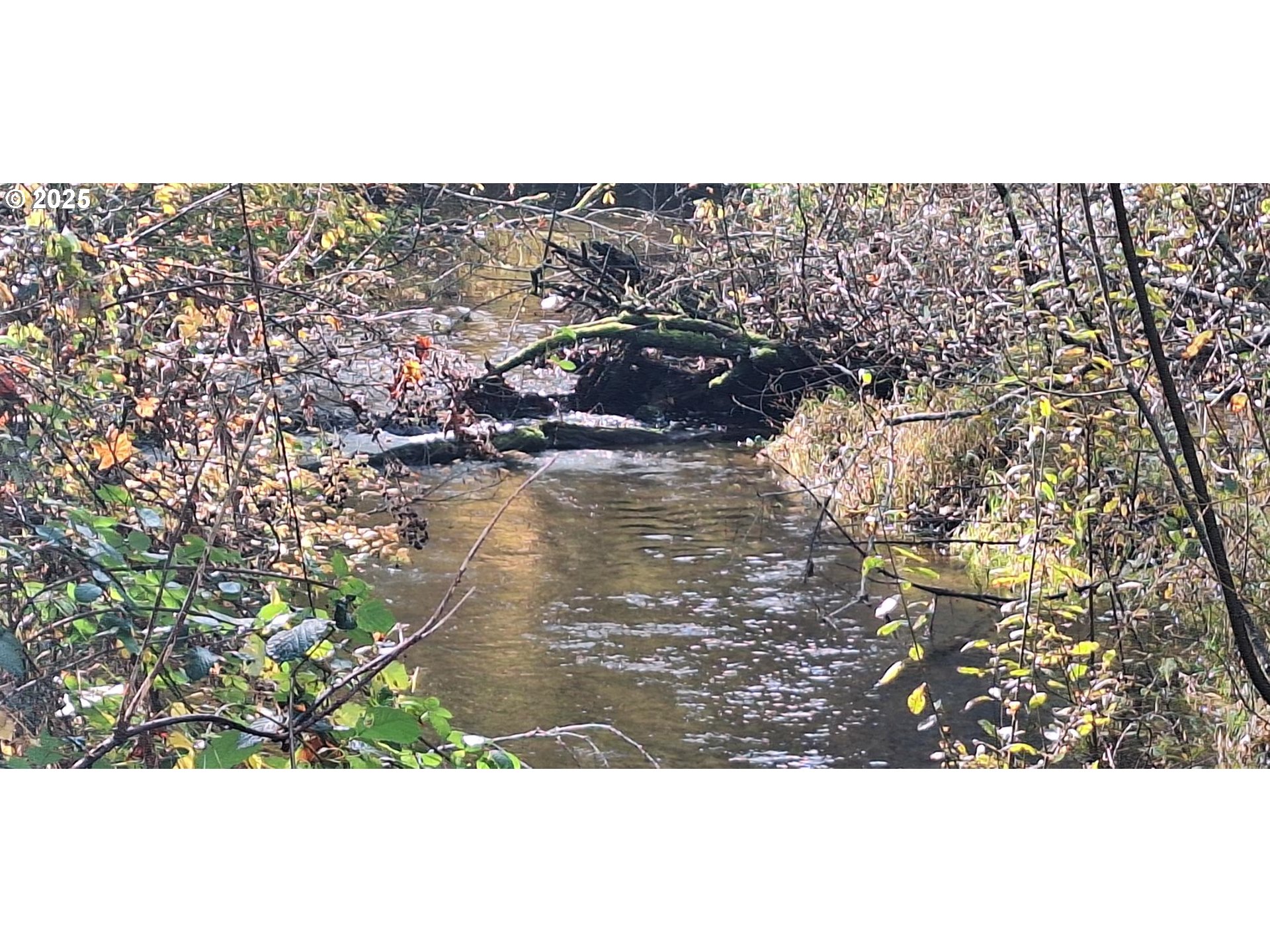 9580 N FORK SIUSLAW RD