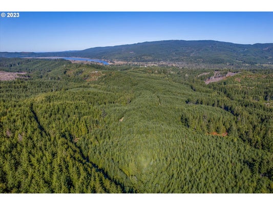 6 PARPALA RD # 6, NASELLE, WA 98638 - Image 0b59e1a95a975bbd0fd0ca113cc2b832/4192000490