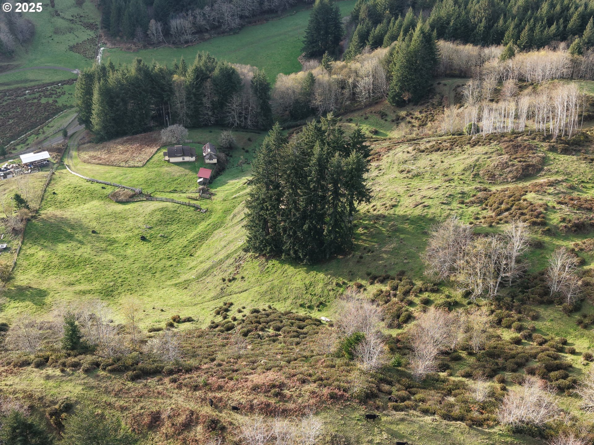 96312 SHUTTERS CREEK LN