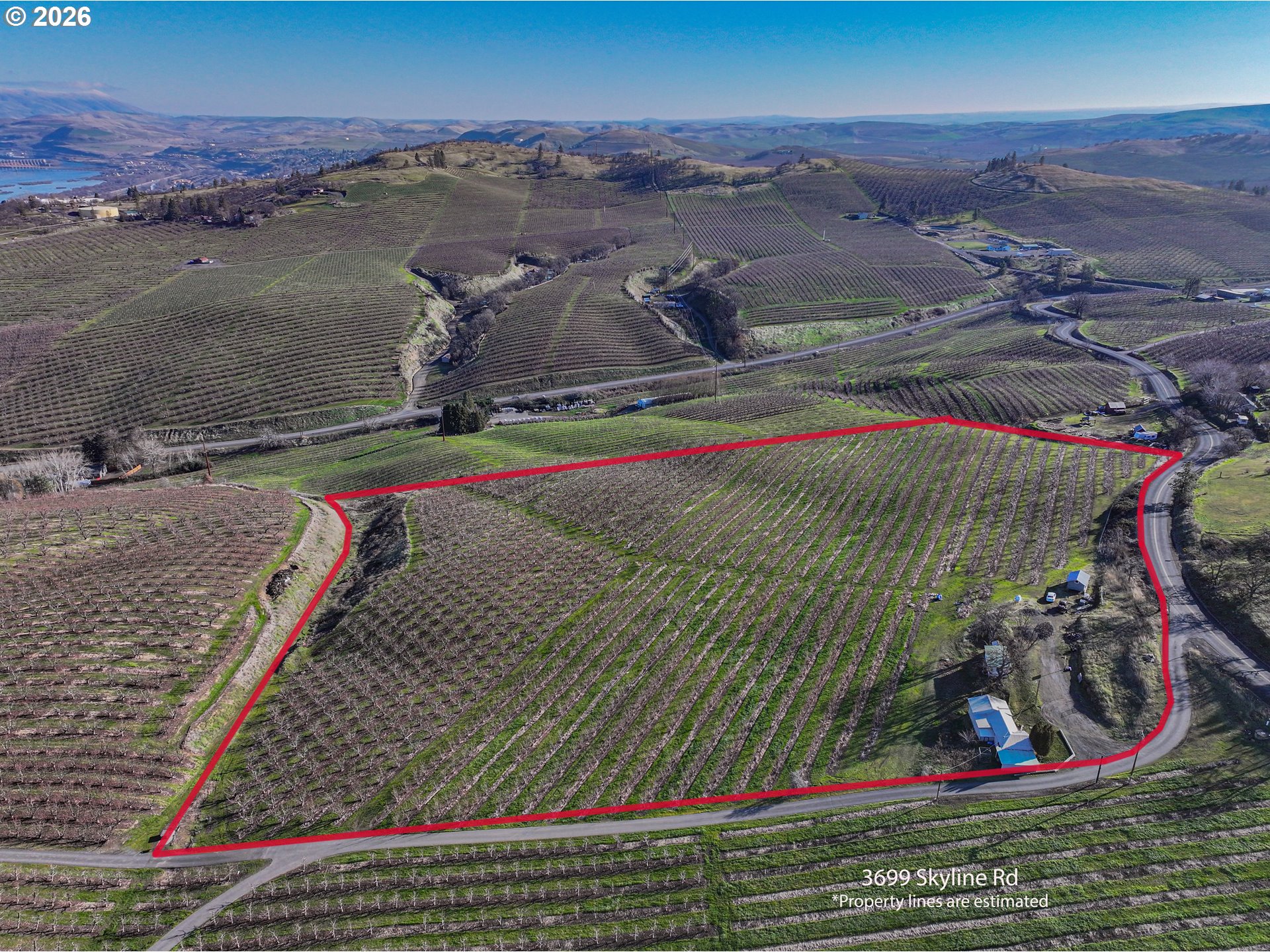 3699 SKYLINE RD