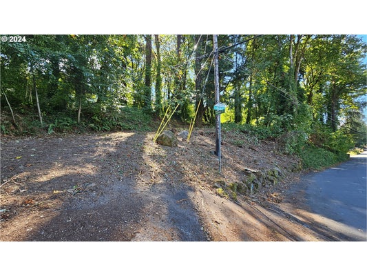 306 4TH AVE, OREGON CITY, OR 97045 - Image 0dfdb75c0394eee9eaaaaf07818fb399/1086898519