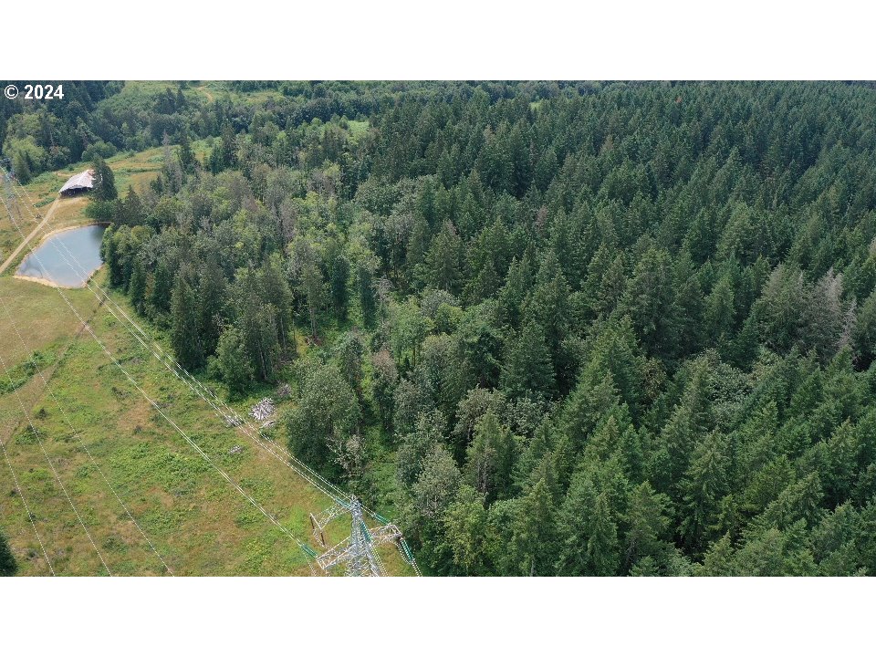 Corbett, Oregon 97019, United States, ,Land,Pending,51772