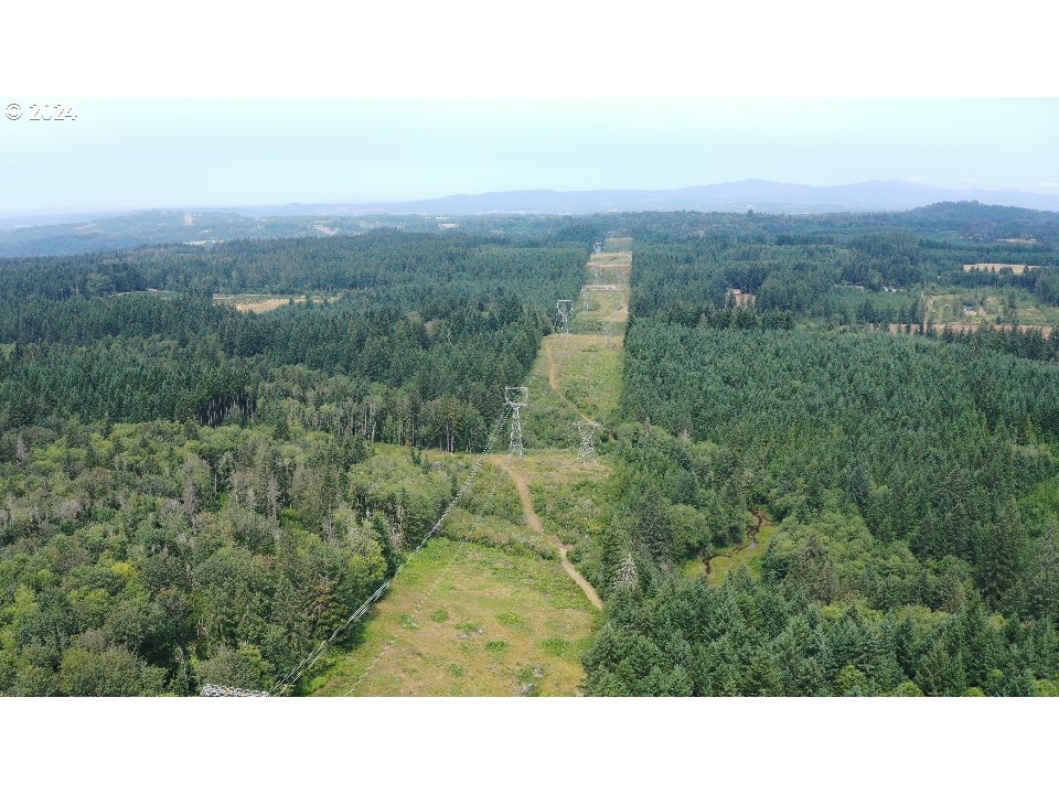 Corbett, Oregon 97019, United States, ,Land,Pending,51772