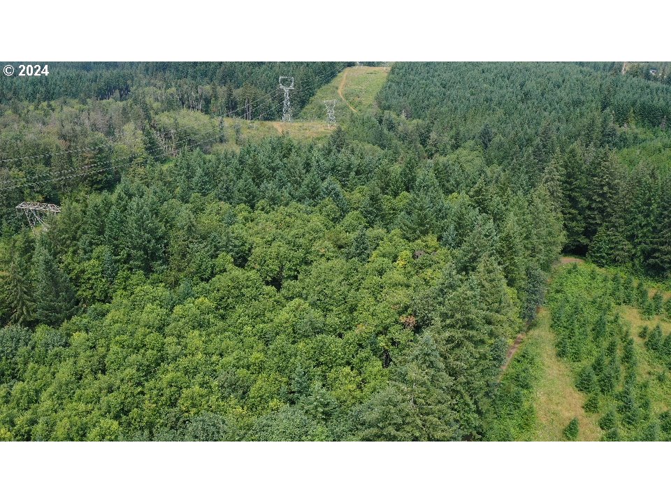 Corbett, Oregon 97019, United States, ,Land,Pending,51772