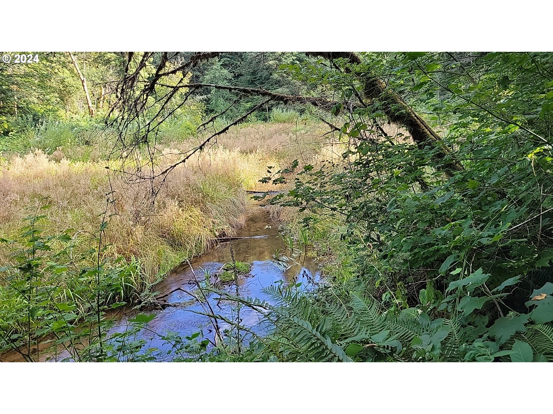 Corbett, Oregon 97019, United States, ,Land,Pending,51772