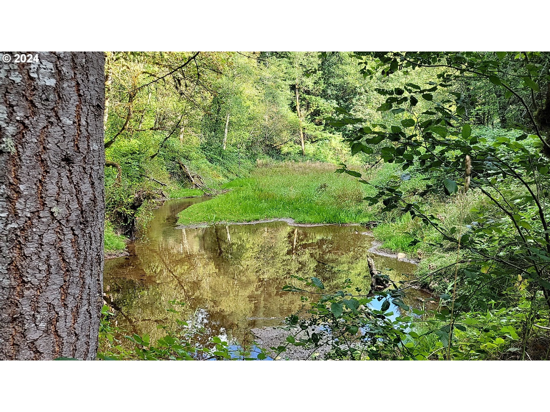 Corbett, Oregon 97019, United States, ,Land,Pending,51772