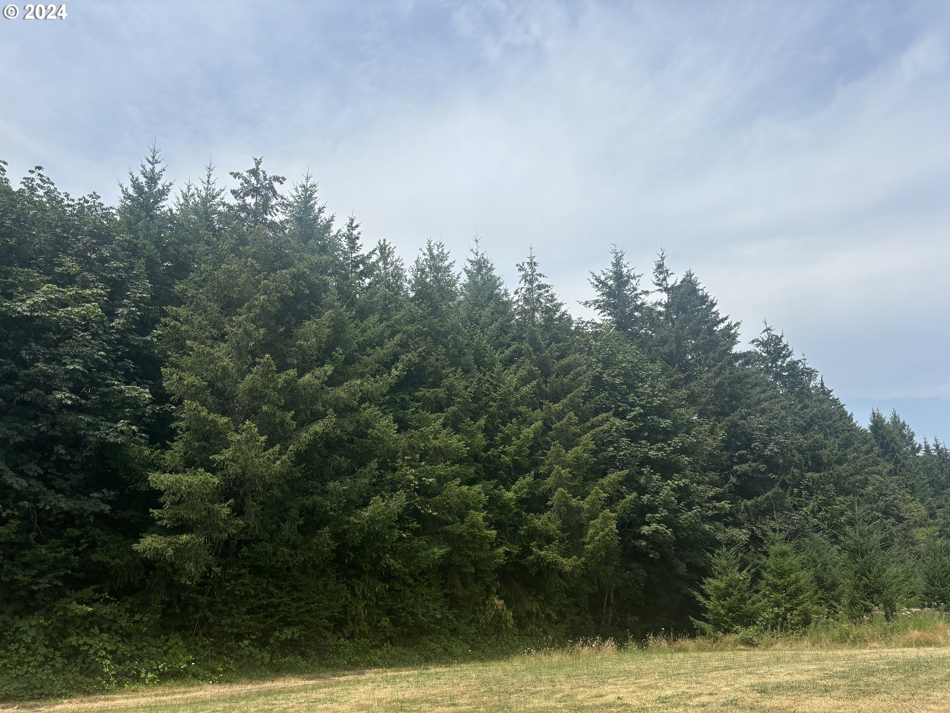 Corbett, Oregon 97019, United States, ,Land,Pending,51772