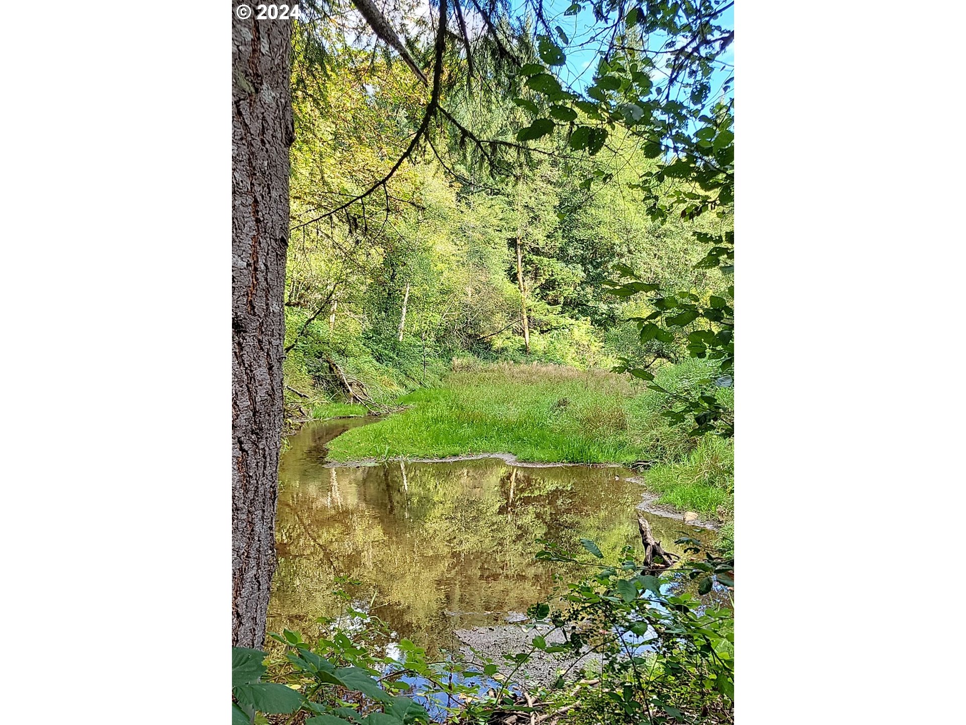 Corbett, Oregon 97019, United States, ,Land,Pending,51772