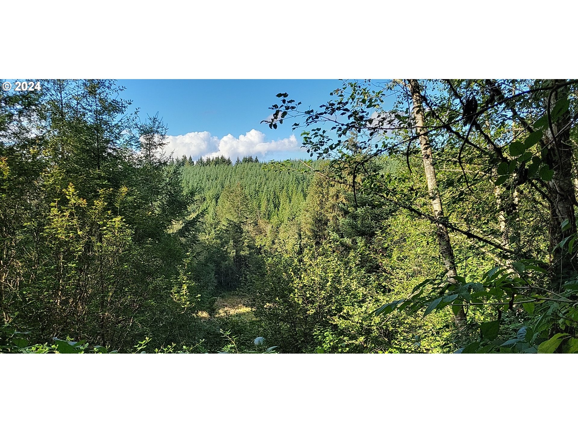 Corbett, Oregon 97019, United States, ,Land,Pending,51772