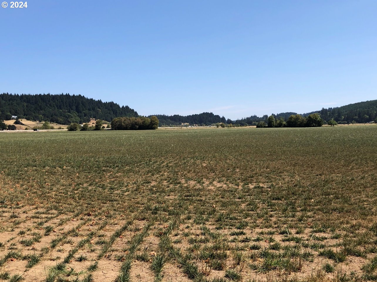 Willamina, Oregon 97396, United States, ,Residential,Active,37471