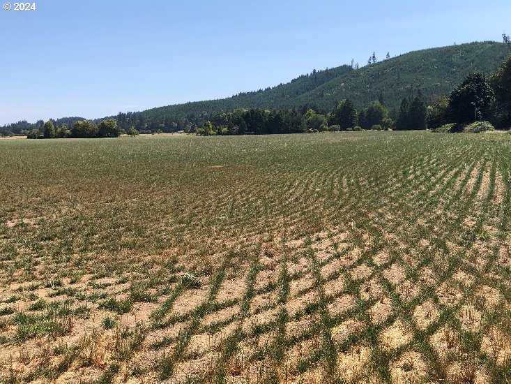 Willamina, Oregon 97396, United States, ,Residential,Active,37471