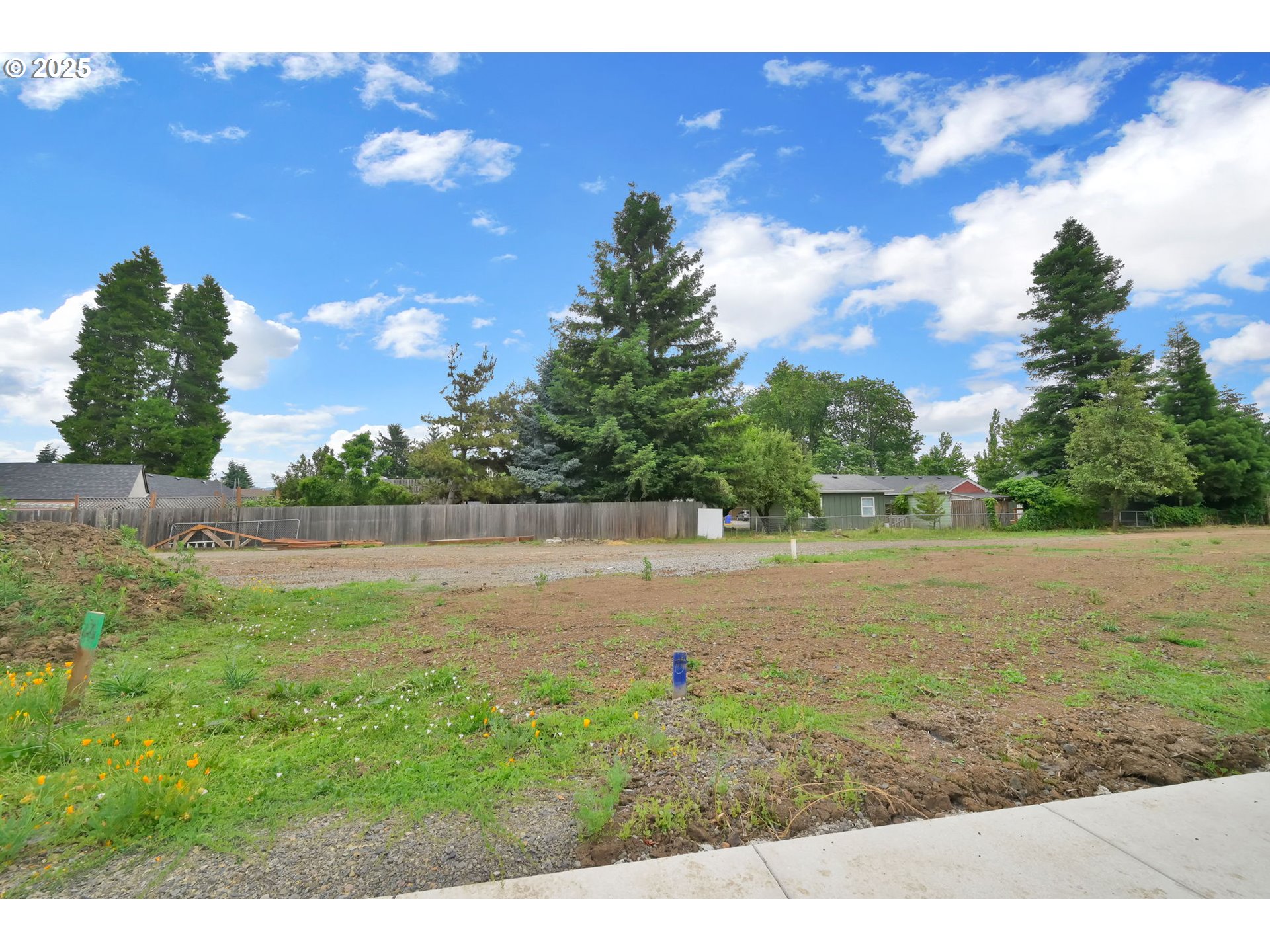 Sprig LN Lot 3