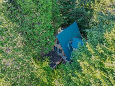Tiny photo for 48395 High Leah Dr, Oakridge, OR 97463 (MLS # 448541365)