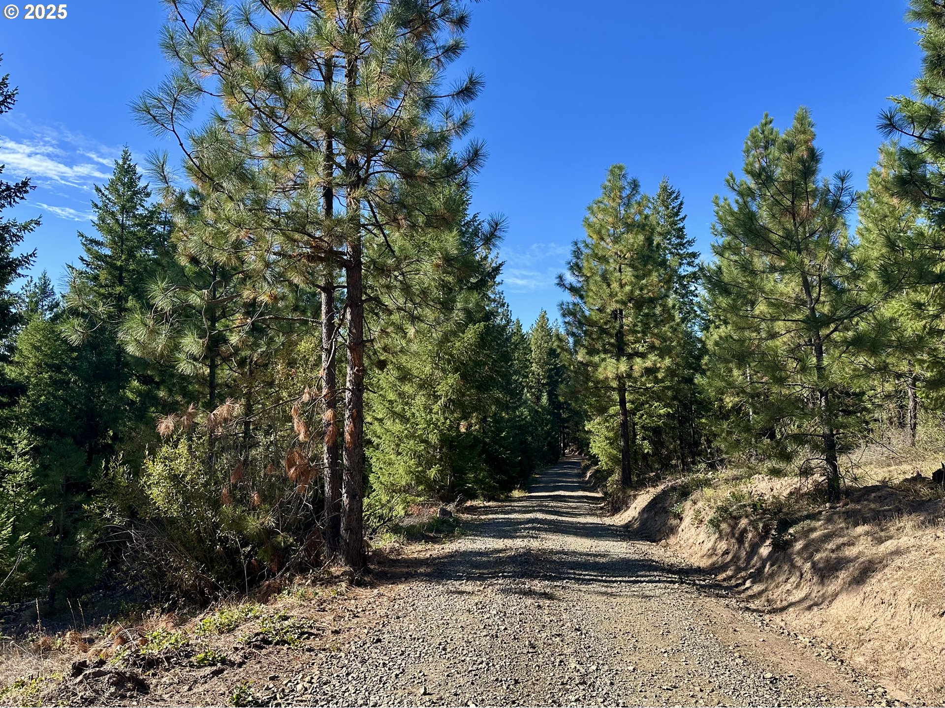 Mule Run RD 13