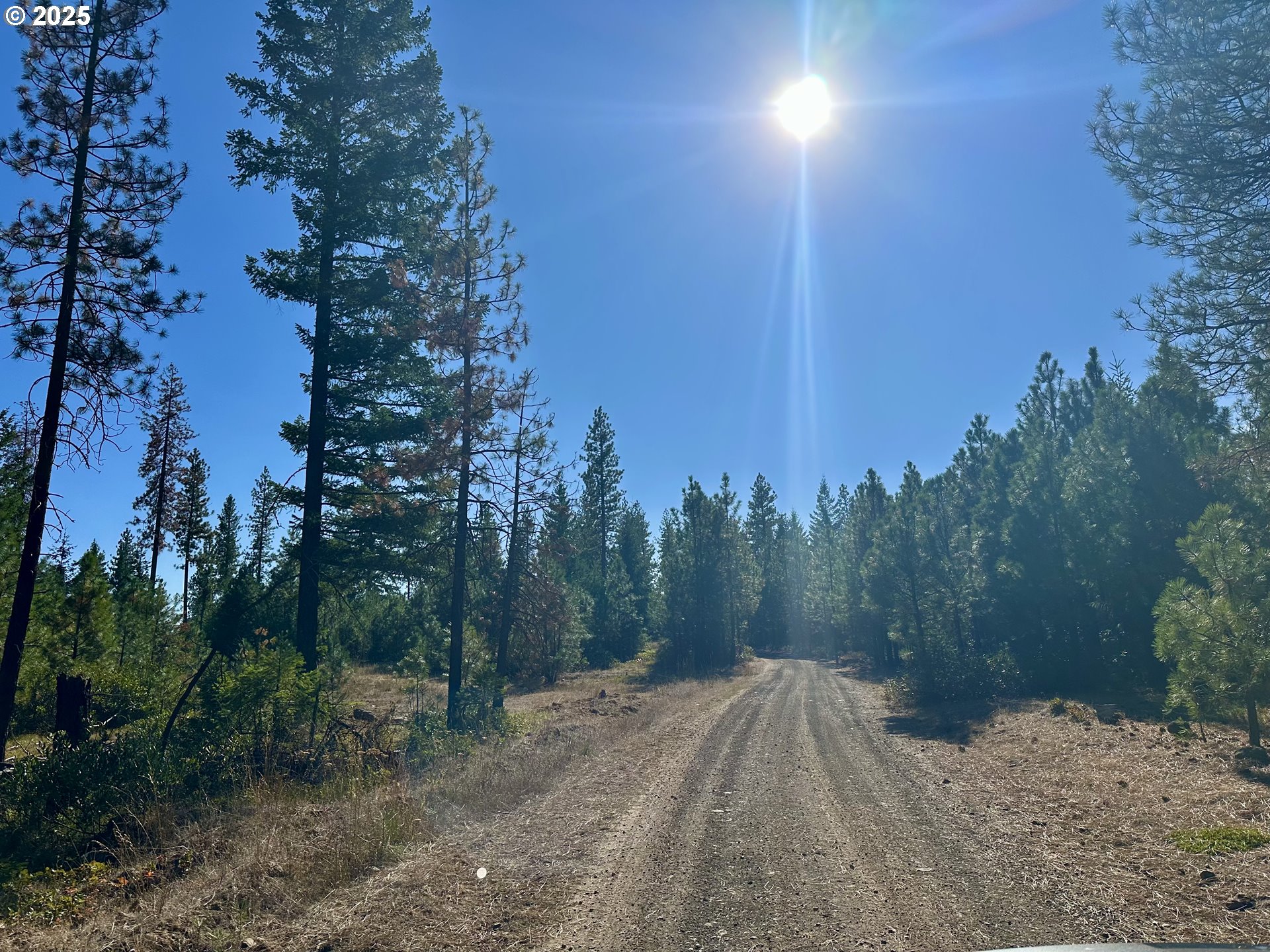 Mule Run RD 13