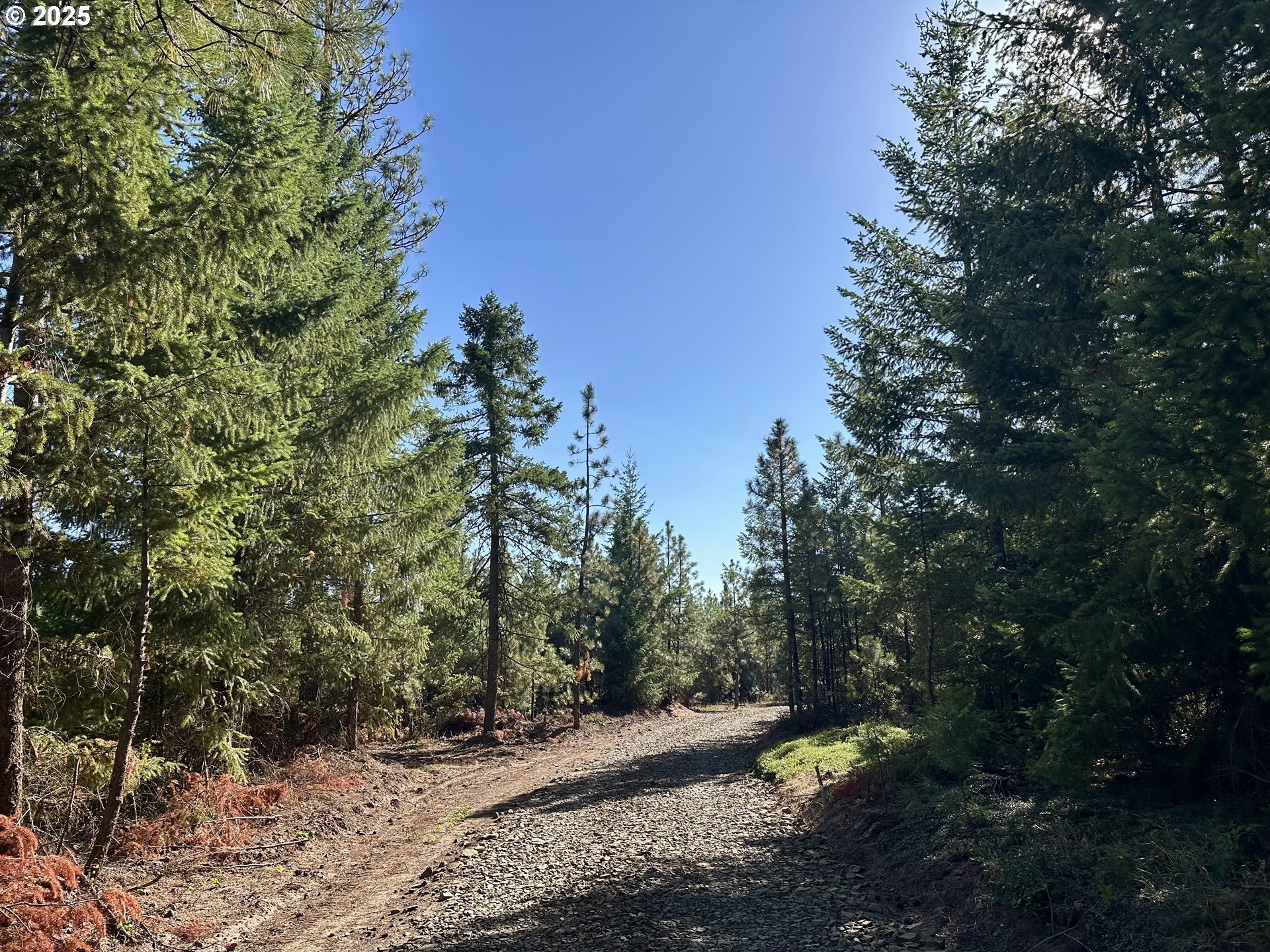Mule Run RD 13