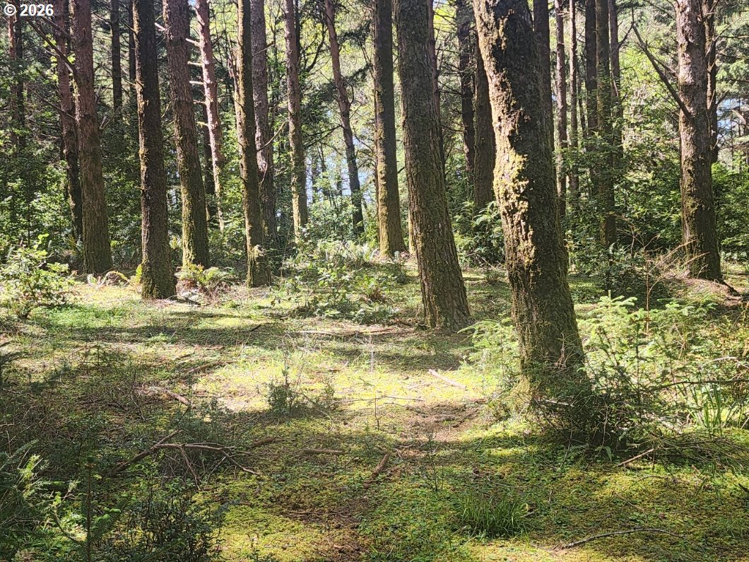 Cemetery Loop RD 2200