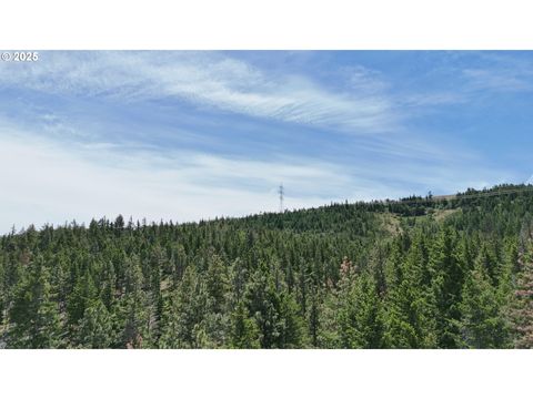 0 Kelly Springs Pine Grove OR 97037