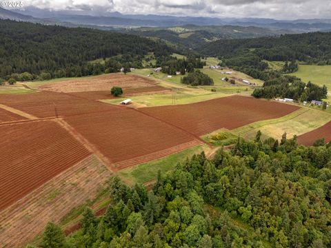 1066 RED HILL RD Oakland OR 97462