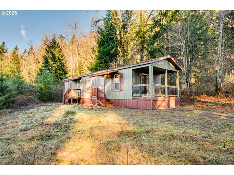 43902 NE COLUMBIA TIE RD Amboy WA 98601