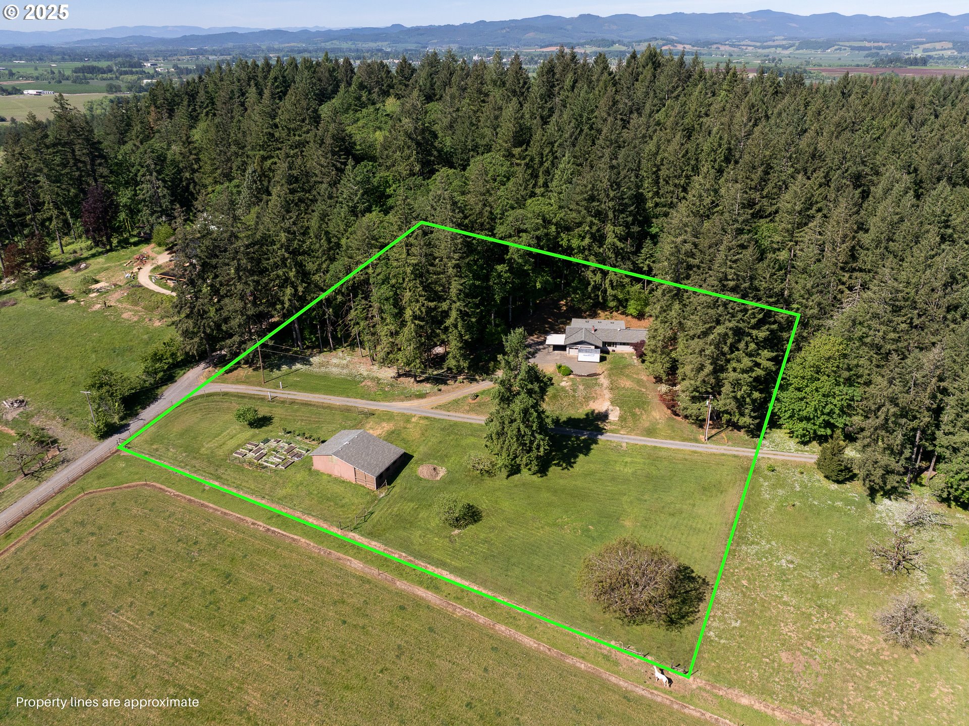 Listing image 4