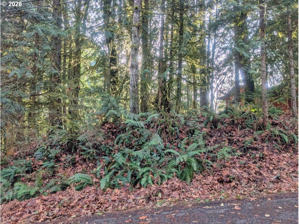 00971354 E Rolling Green