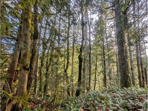 00971354 E Rolling Green Welches OR 97067