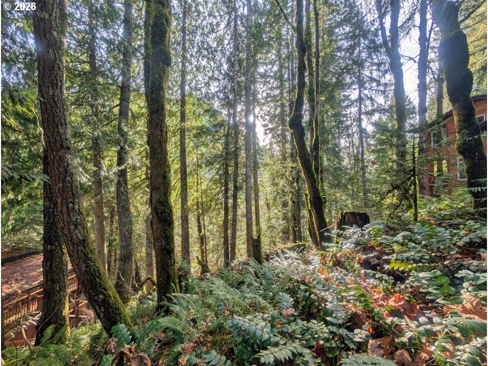 00971354 E Rolling Green