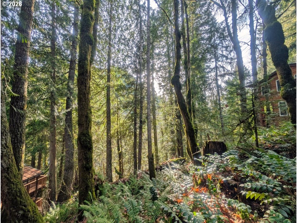 00971354 E Rolling Green