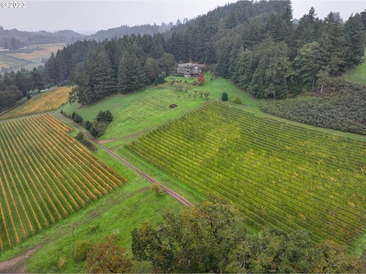 7820 SE AMITY RD, AMITY, OR 97101 - Image 11f39b8243ed754fbfce3f77dcd1298e/2748055729