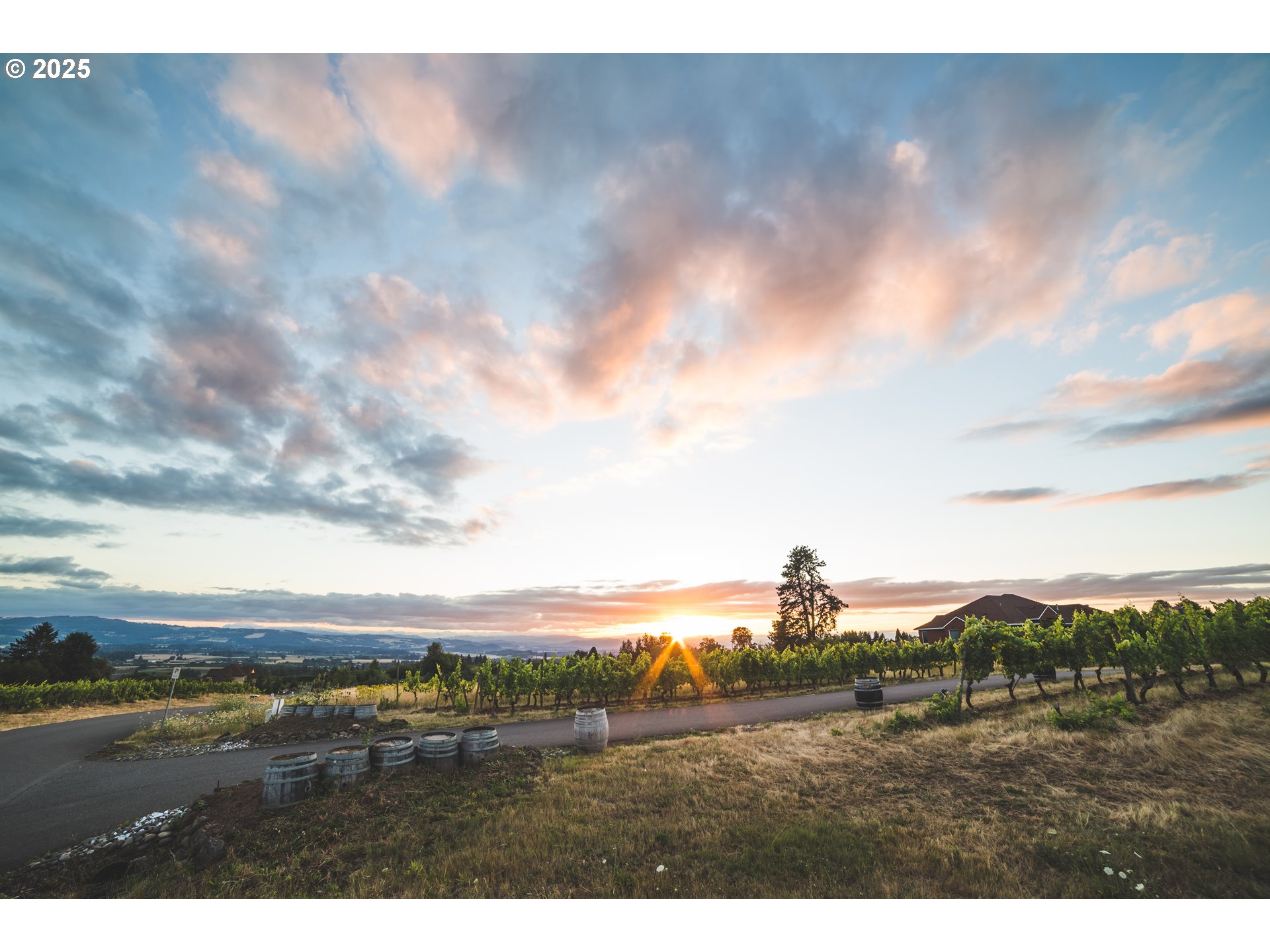 16998 SW Lorikeet LN