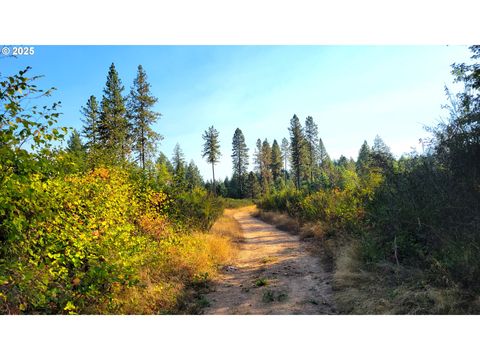 E Hunter RD 602E Veneta OR 97487