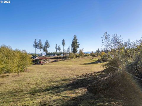 1480 S SILVER LAKE RD Castle Rock WA 98611