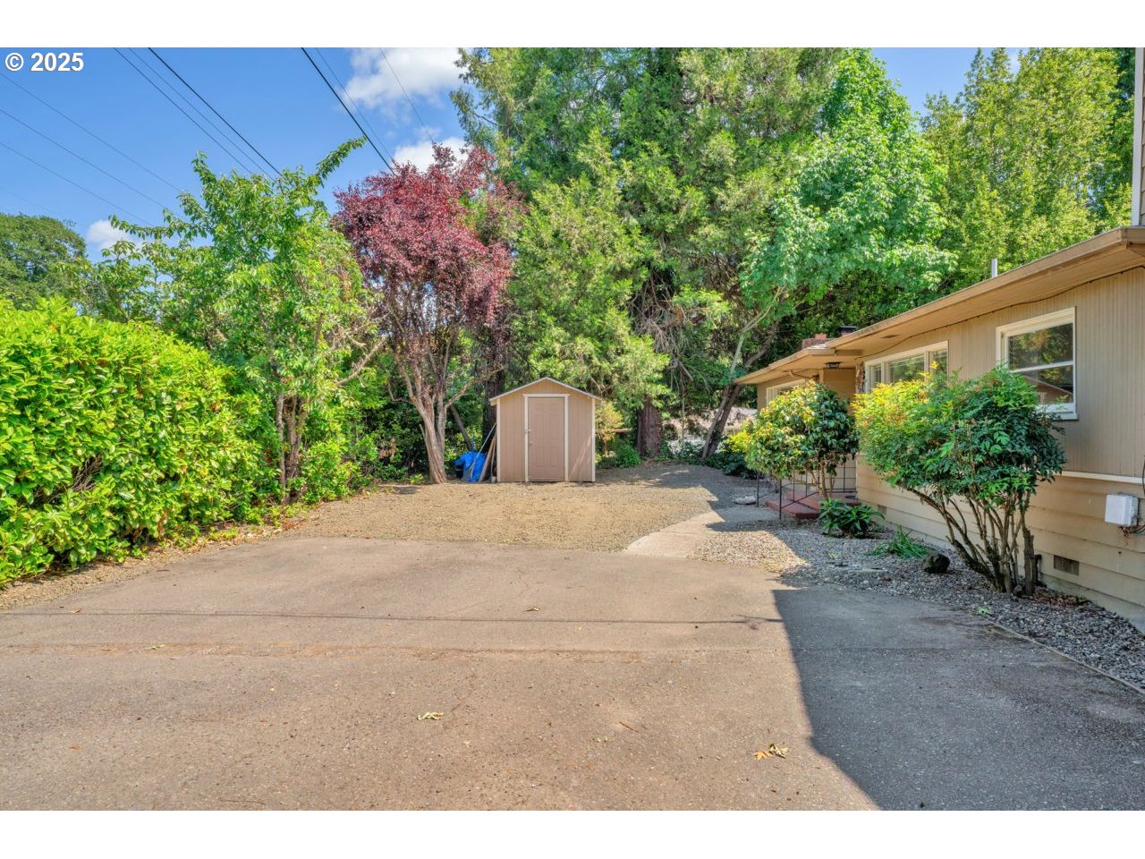 1541 BUCKHORN RD