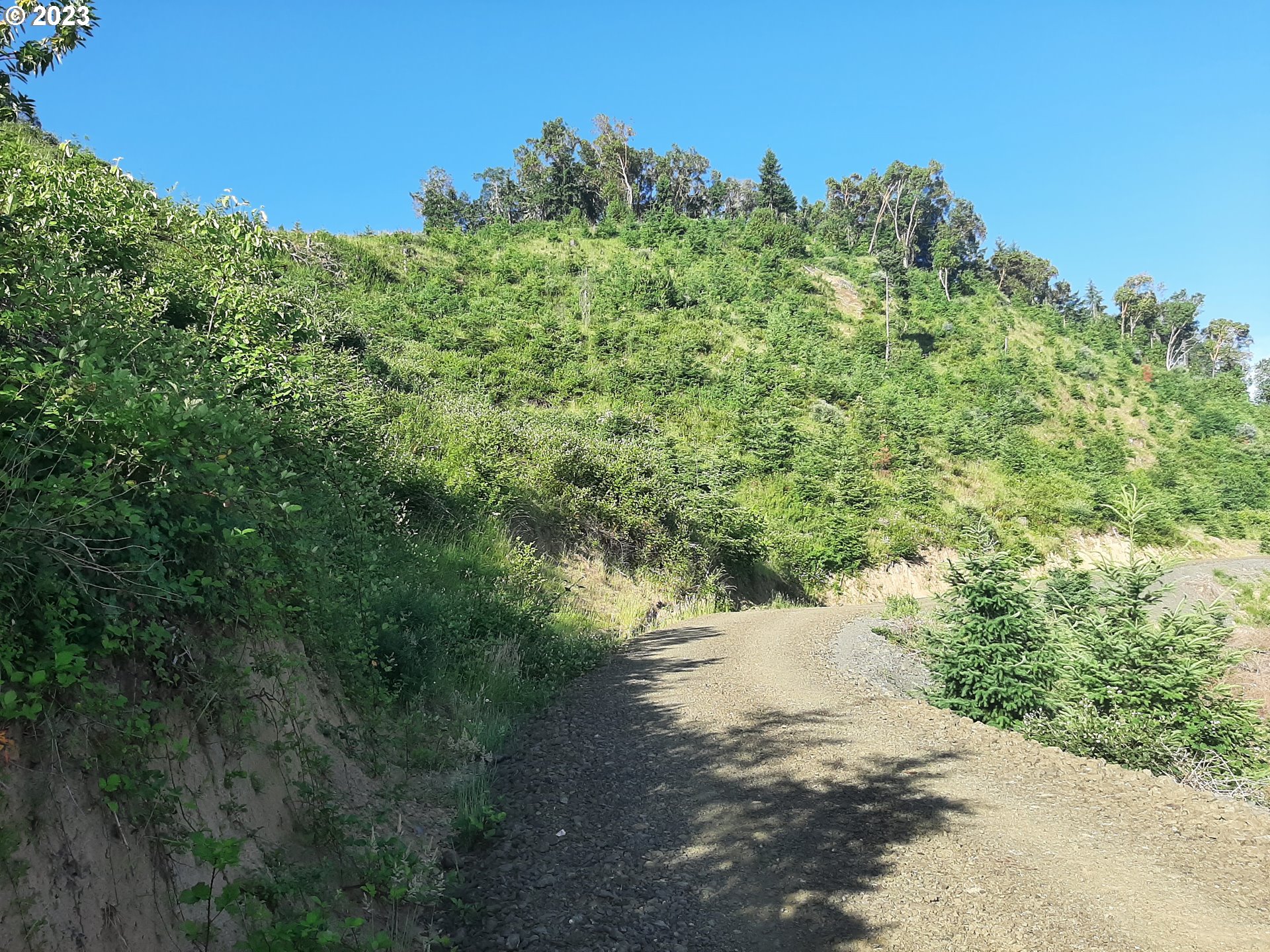 Winston, Oregon 97496, United States, ,Residential,Active,72283