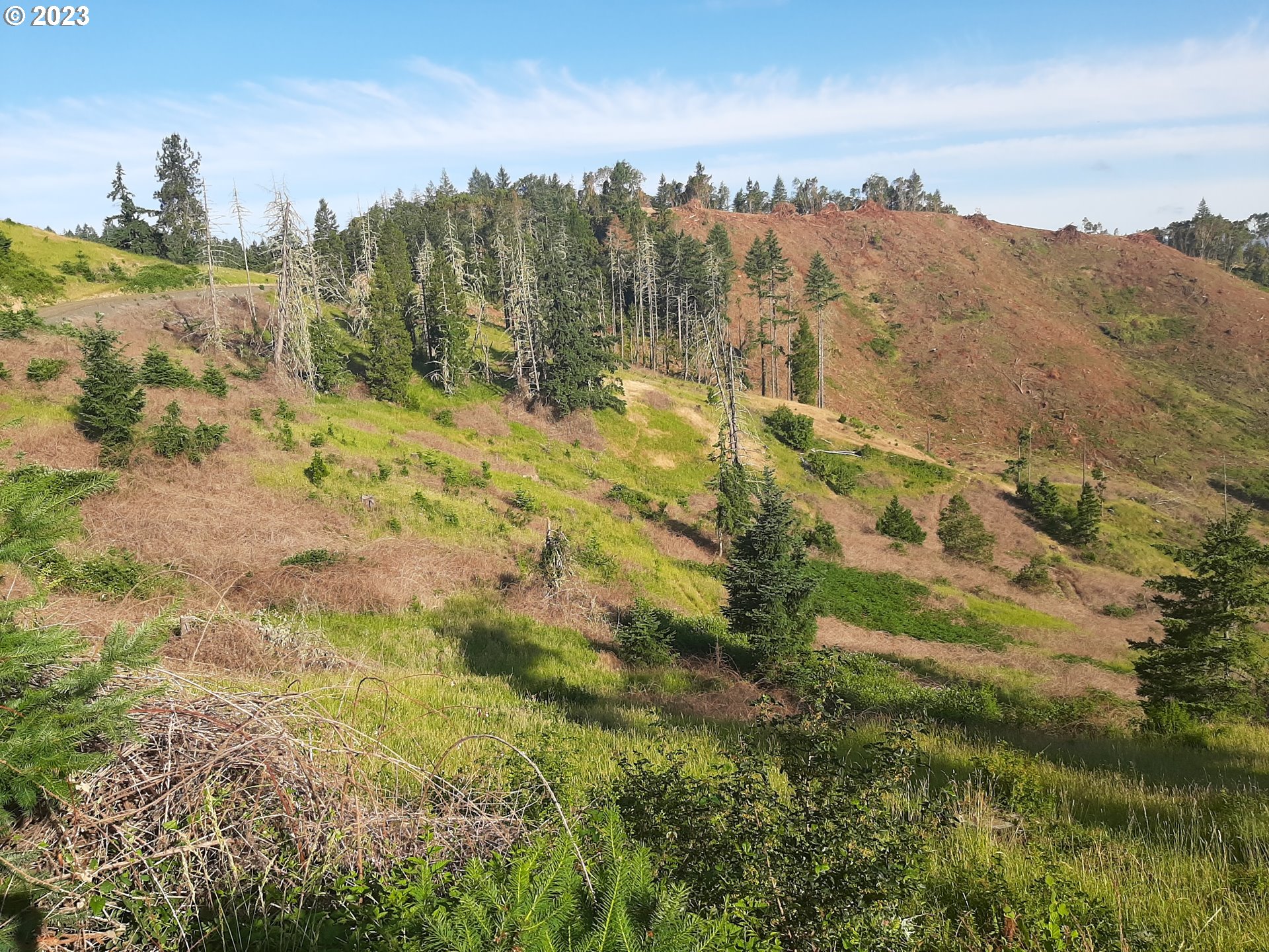 Winston, Oregon 97496, United States, ,Residential,Active,72283