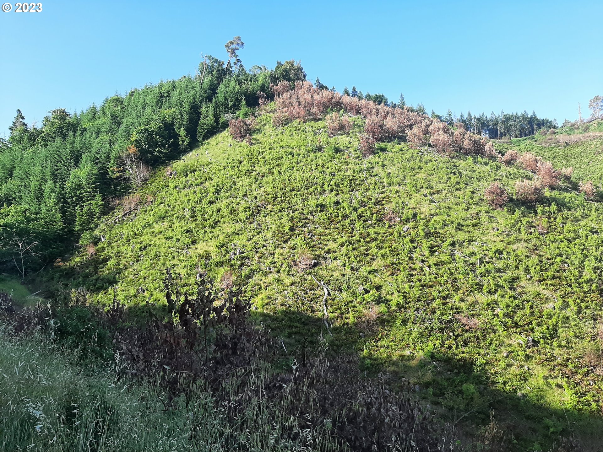 Winston, Oregon 97496, United States, ,Residential,Active,72283