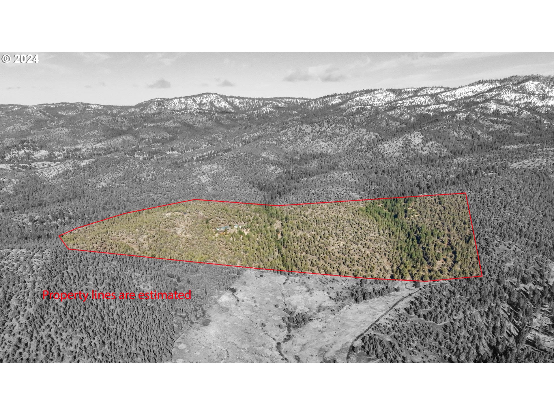 31367 CLARKS CREEK RD