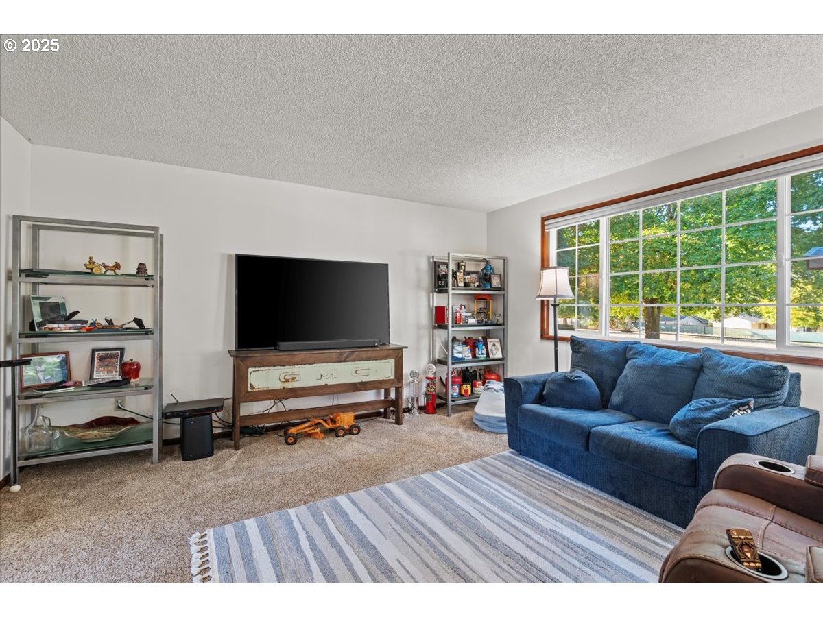 11231 S PARKLAND CT