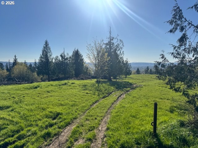 Grimm RD