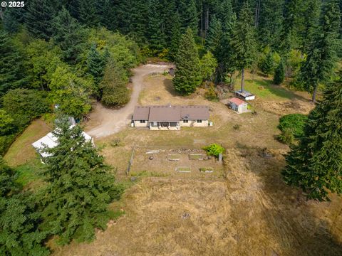 Photo of 9019 NE Winters Rd, Camas, WA 98607 (MLS # 237436629)