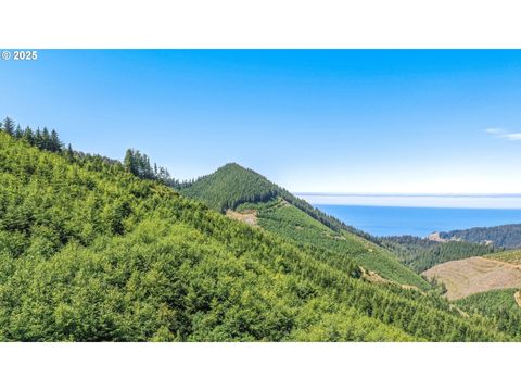 HWY 101 Nehalem OR 97131