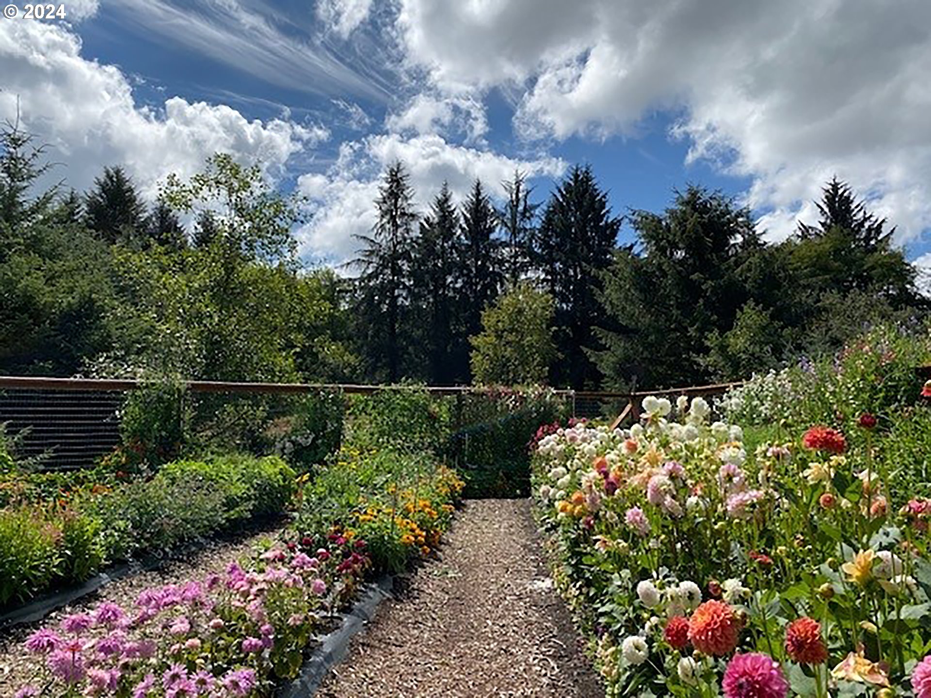 Tillamook, Oregon 97141, United States, 1 Bedroom Bedrooms, ,1 BathroomBathrooms,Residential,Active,43568