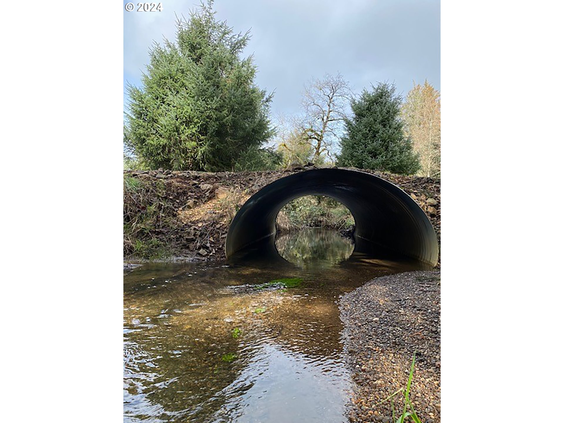 Tillamook, Oregon 97141, United States, 1 Bedroom Bedrooms, ,1 BathroomBathrooms,Residential,Active,43568