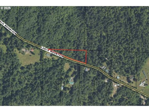 E LARCH MOUNTAIN RD Corbett OR 97019